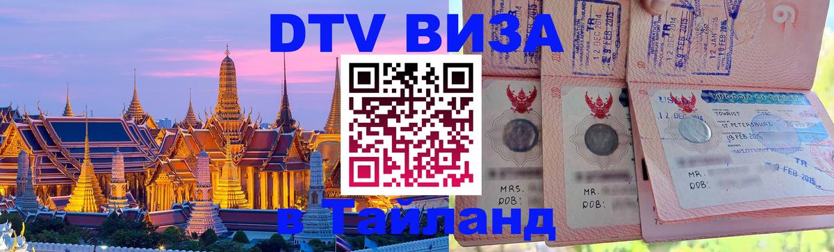 Оформление DTV визы под ключ: стоимость и тарифы, только загранпаспорт - Саратов 